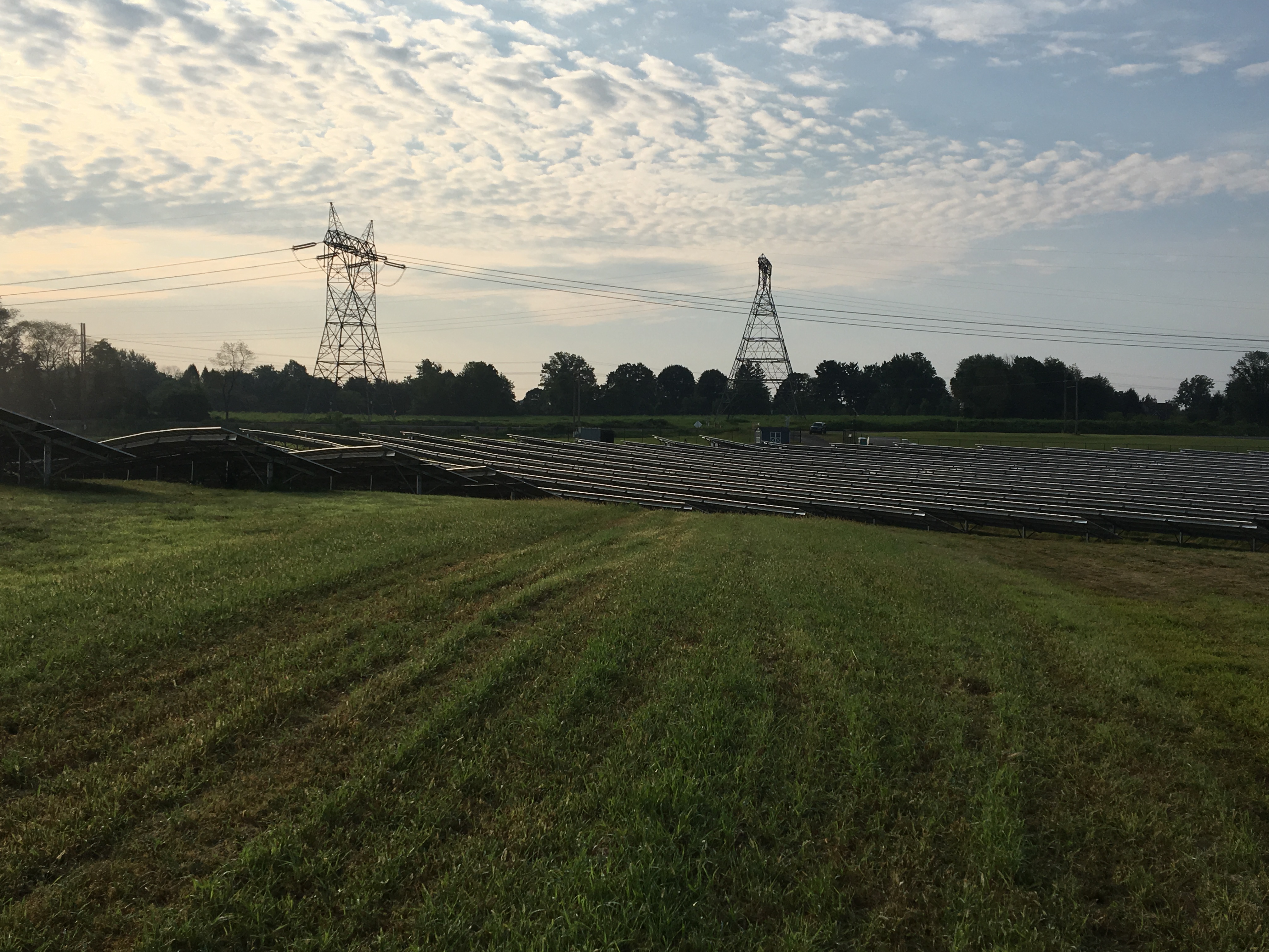 commercial solar power farm from ground