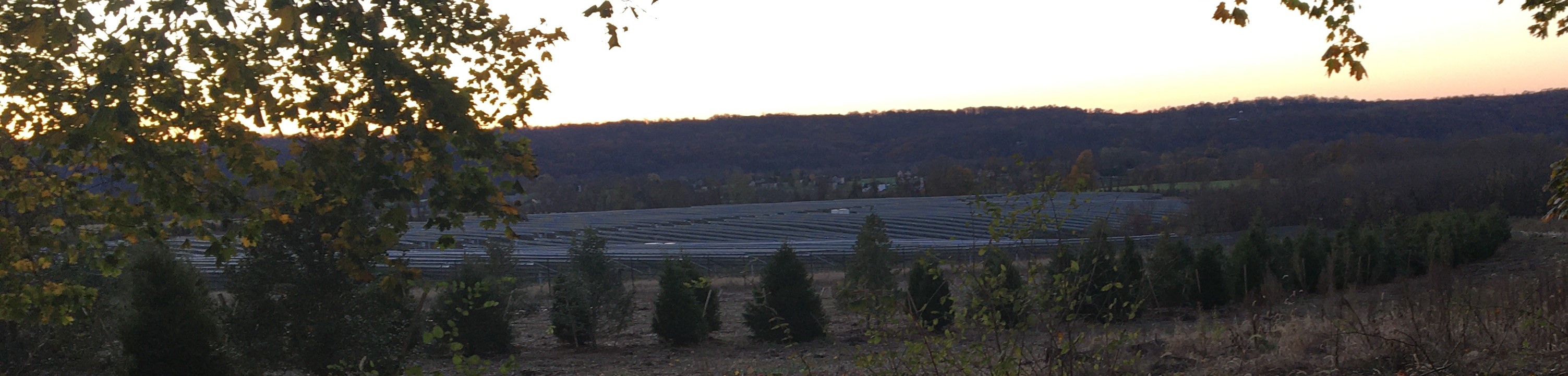 washington solar panels in the woods